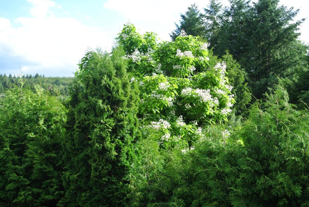 Ferienwohnung Zur Muehle Sotzweiler ภายนอก รูปภาพ