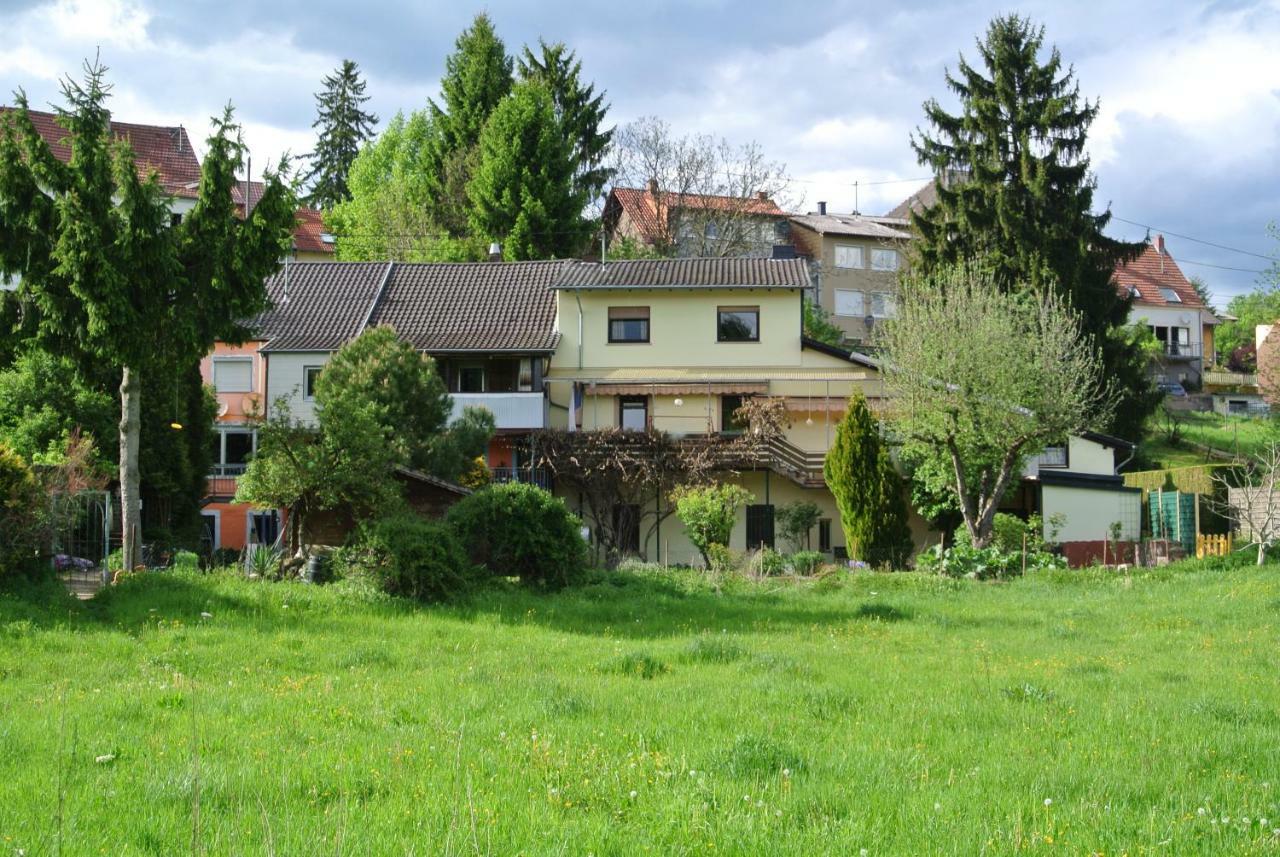 Ferienwohnung Zur Muehle Sotzweiler ภายนอก รูปภาพ