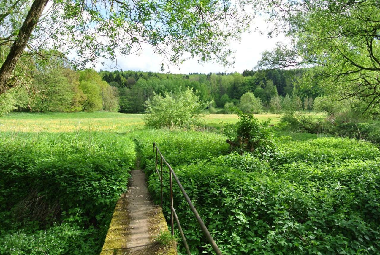 Ferienwohnung Zur Muehle Sotzweiler ภายนอก รูปภาพ