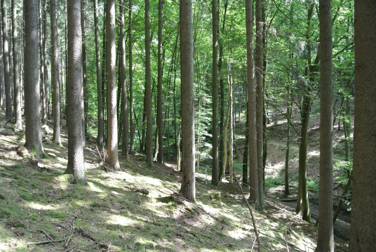 Ferienwohnung Zur Muehle Sotzweiler ภายนอก รูปภาพ