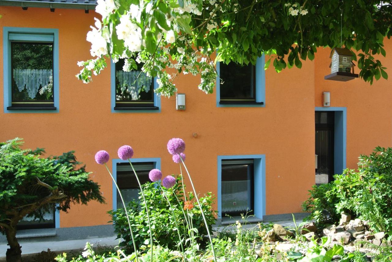 Ferienwohnung Zur Muehle Sotzweiler ภายนอก รูปภาพ